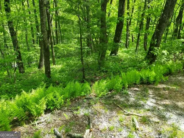 0 LOT 5 Rebel Circle, Sky Valley, GA 30537