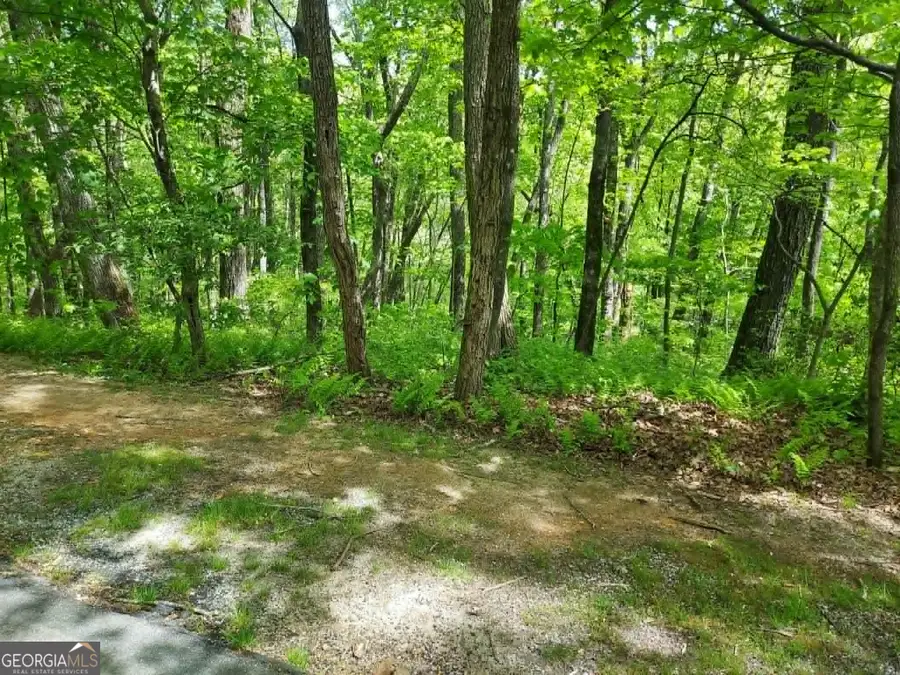 0 LOT 5 Rebel Circle, Sky Valley, GA 30537 - #2