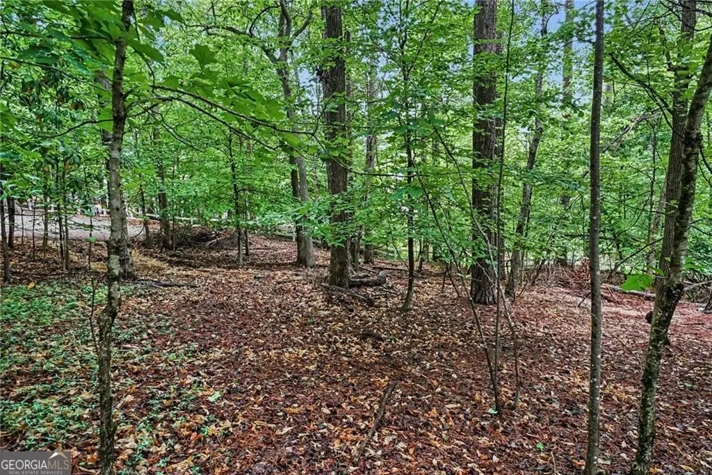 3836 Wesley Chapel Road, Marietta, GA 30062 - #1