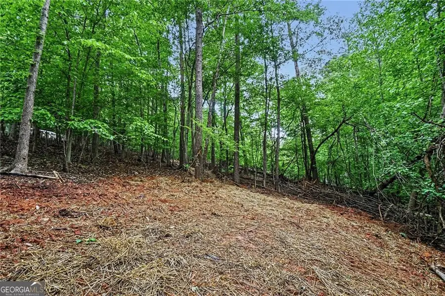3836 Wesley Chapel Road, Marietta, GA 30062 - #2
