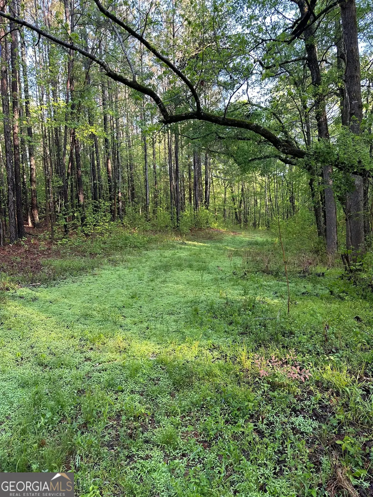 1433 Cleveland Farm Rd, Locust Grove, GA 30248 - #1