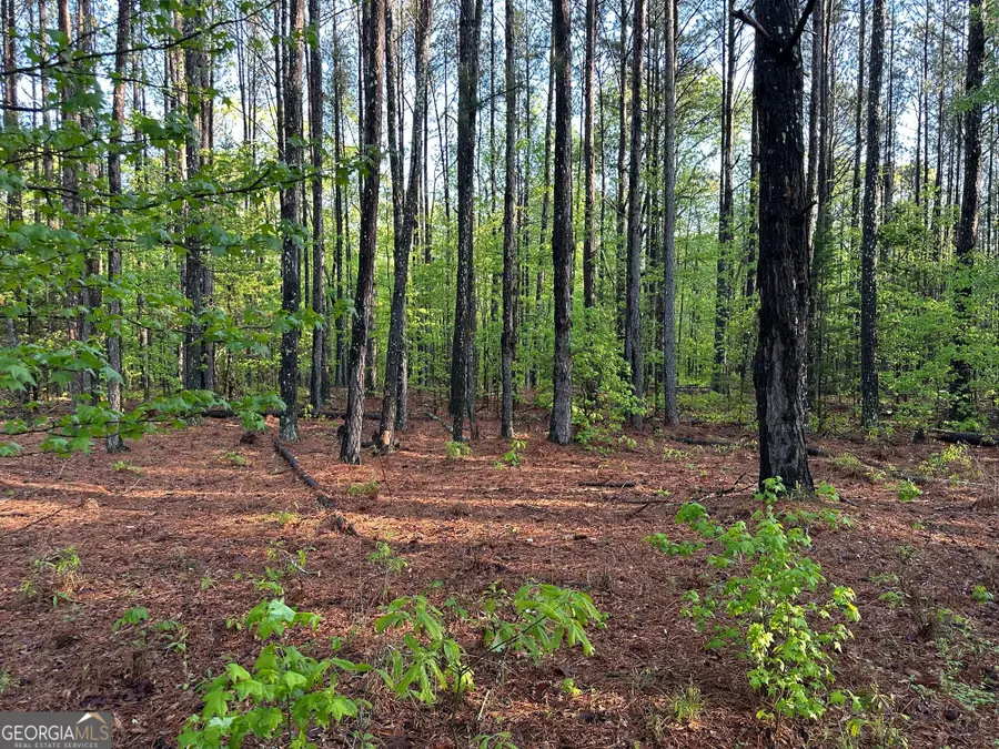 1433 Cleveland Farm Rd, Locust Grove, GA 30248 - #3