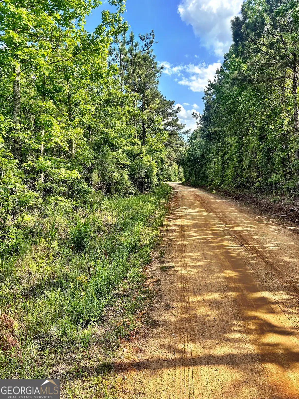 0 Johnson Road, Musella, GA 31066 - #1
