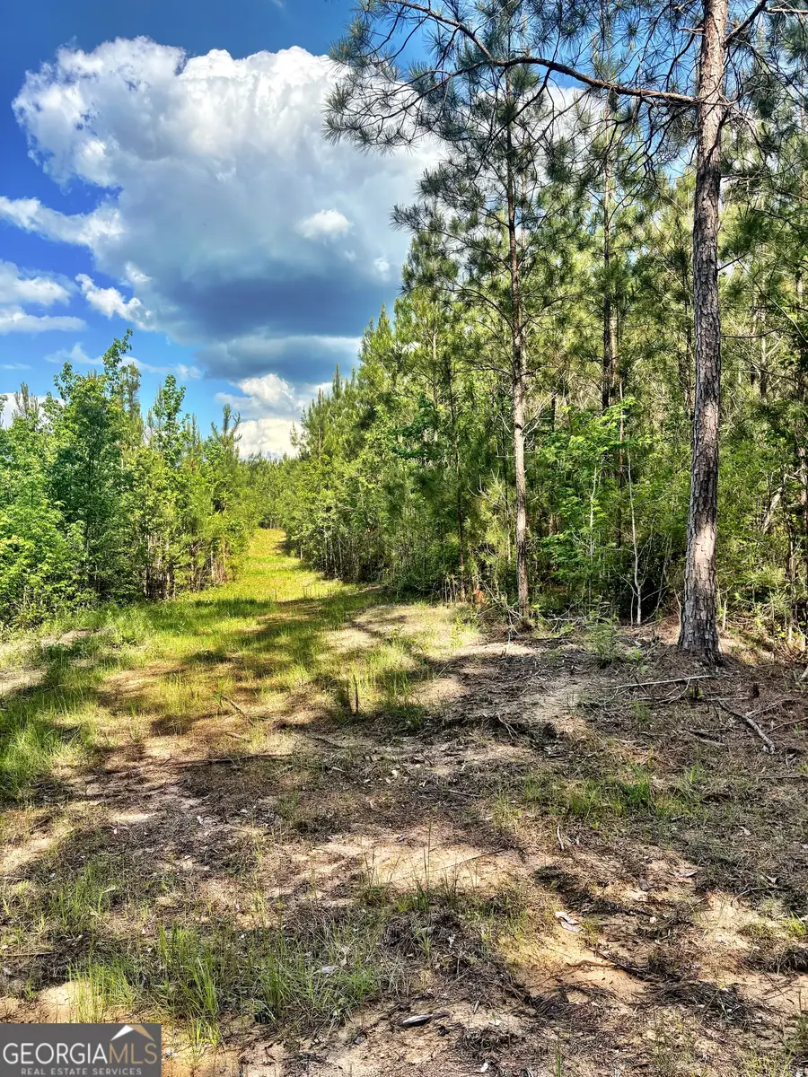 0 Johnson Road, Musella, GA 31066 - #2