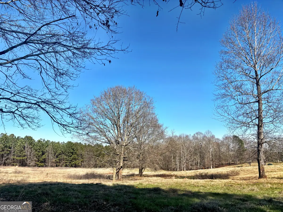 0 Torbet Road, Juliette, GA 31046 - #1