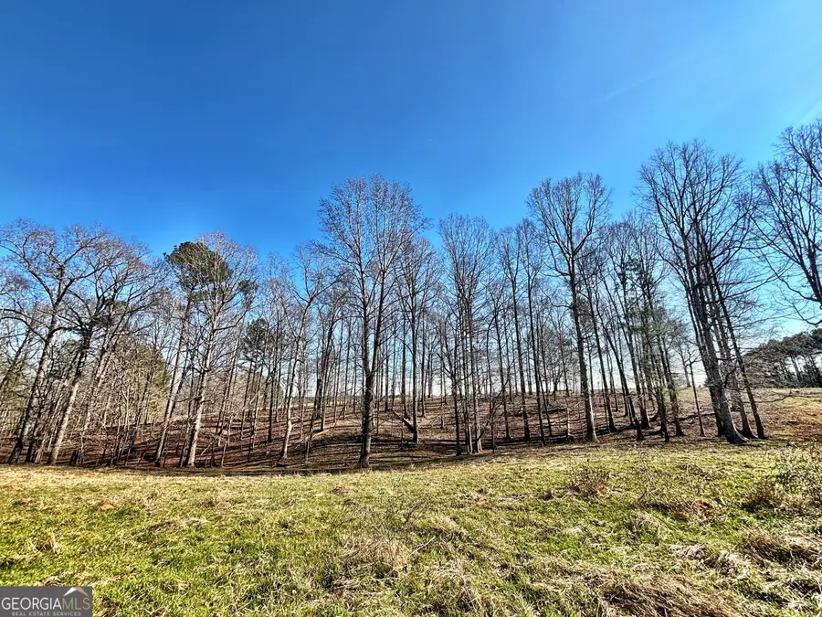 0 Torbet Road, Juliette, GA 31046 - #3