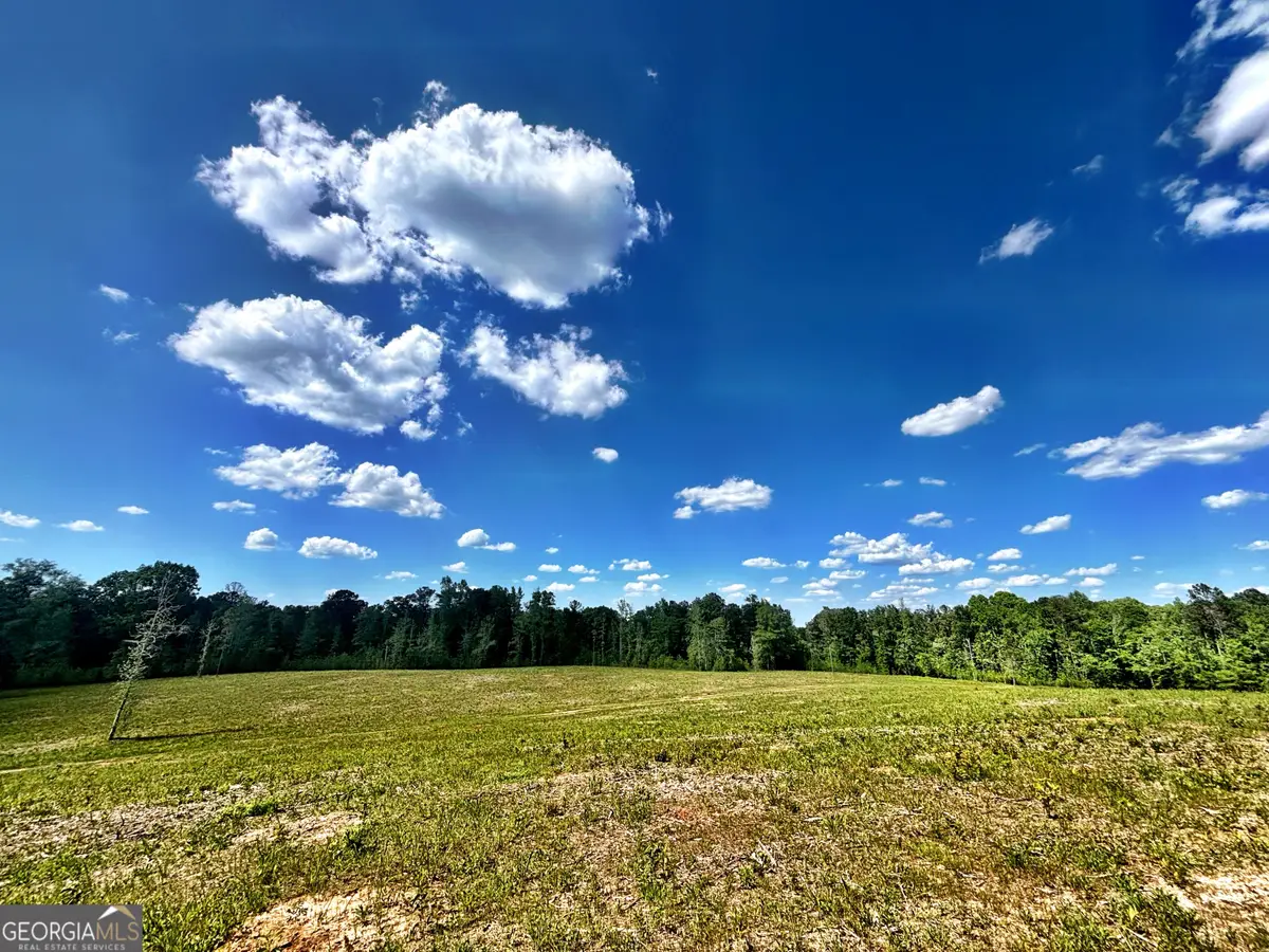 O Wilson Way, Musella, GA 31066 - #1