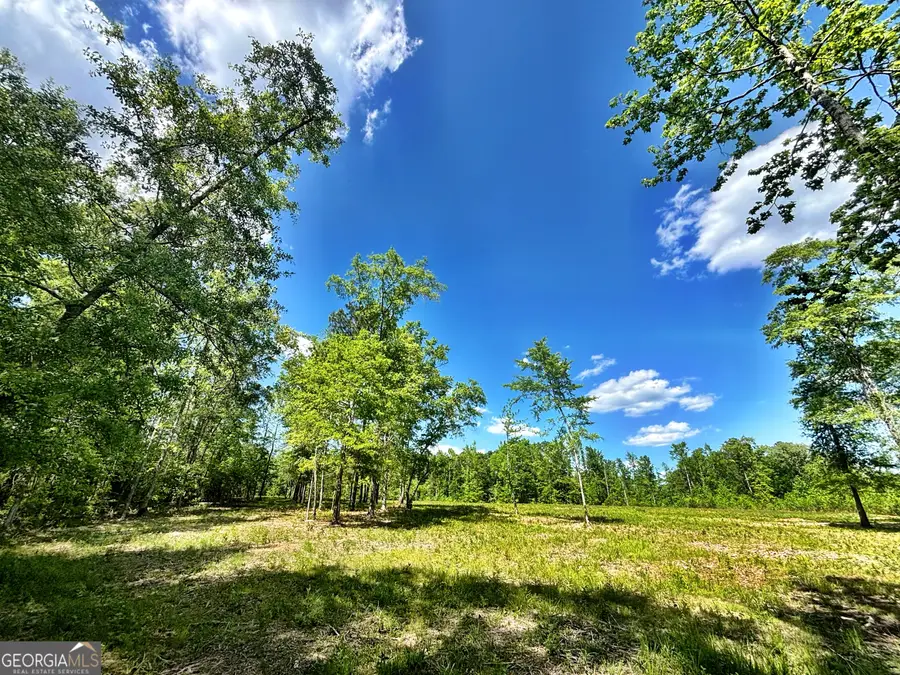 O Wilson Way, Musella, GA 31066 - #3