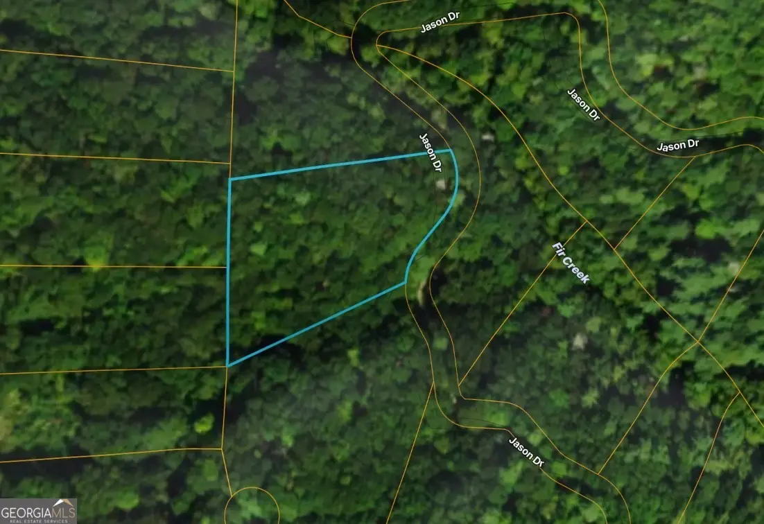 LOT #206 Dowel Circle, Ellijay, GA 30540 - #1