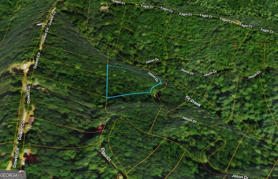 LOT #206 Dowel Circle, Ellijay, GA 30540 - #2