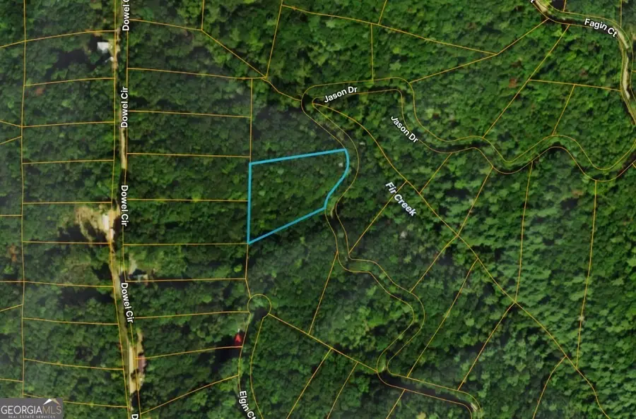 LOT #206 Dowel Circle, Ellijay, GA 30540 - #3