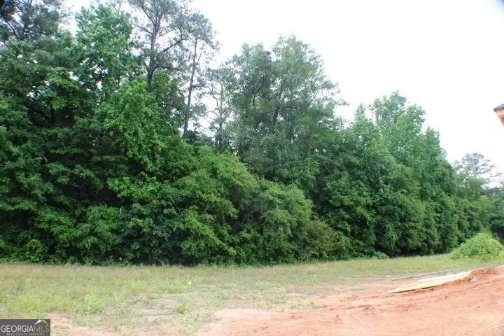 628 Ellie Circle, Dublin, GA 31021 - #3