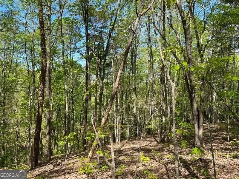269 Appleberry Mountain Road, Waleska, GA 30183 - #1