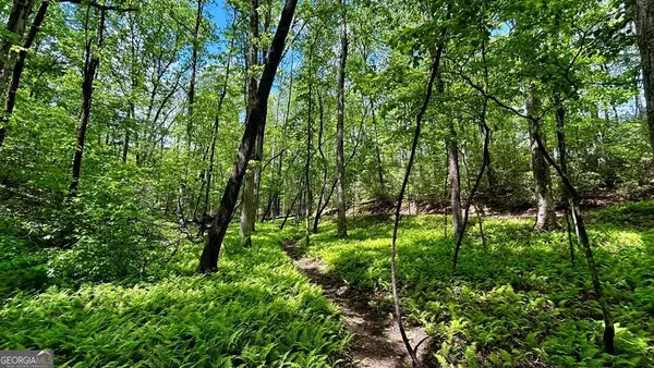 LOT 12 Frances Drive, Ellijay, GA 30536