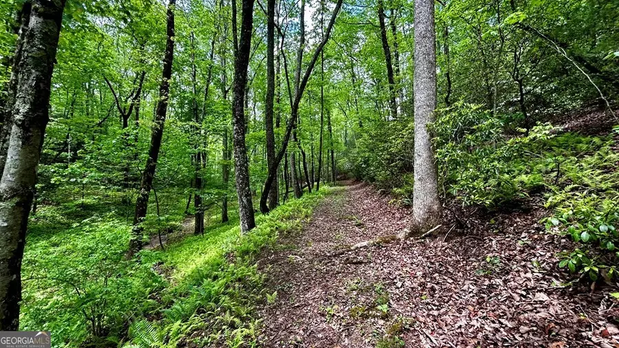 LOT 12 Frances Drive, Ellijay, GA 30536 - #2