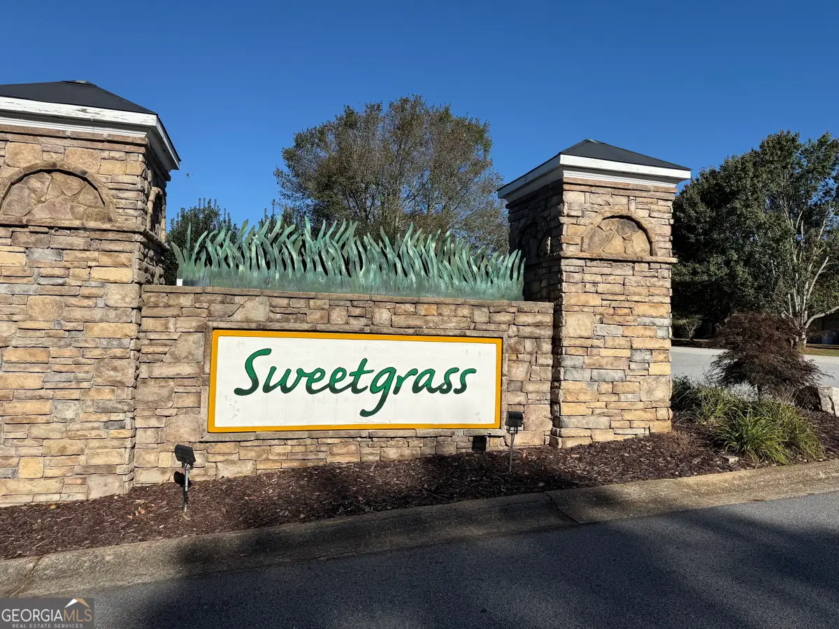 1734 Rabbit Brush Drive, Demorest, GA 30535 - #1