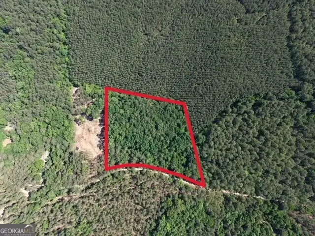 580 Saggus Road, Washington, GA 30673 - #3