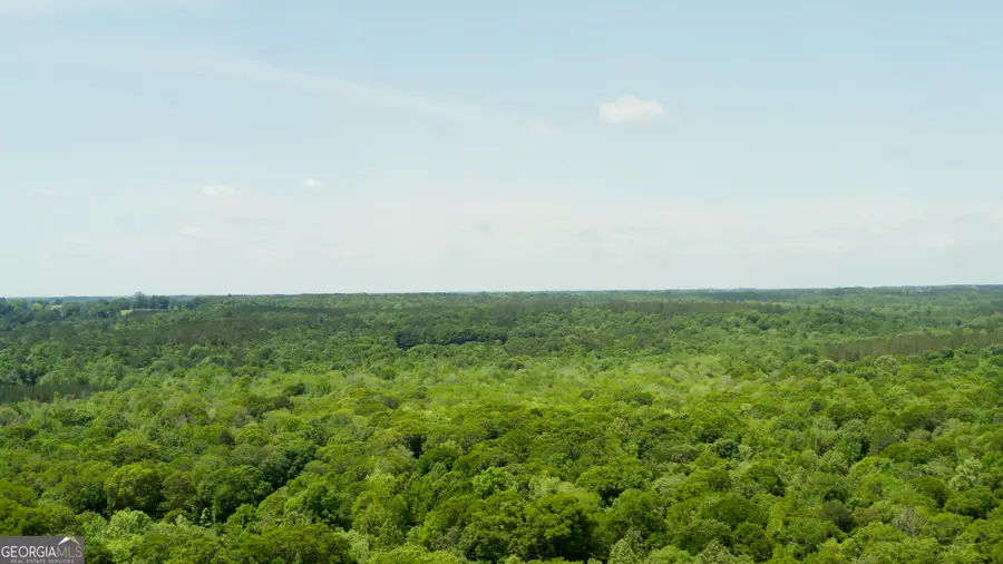 0 County Road 231, Abbeville, AL 36310 - #3