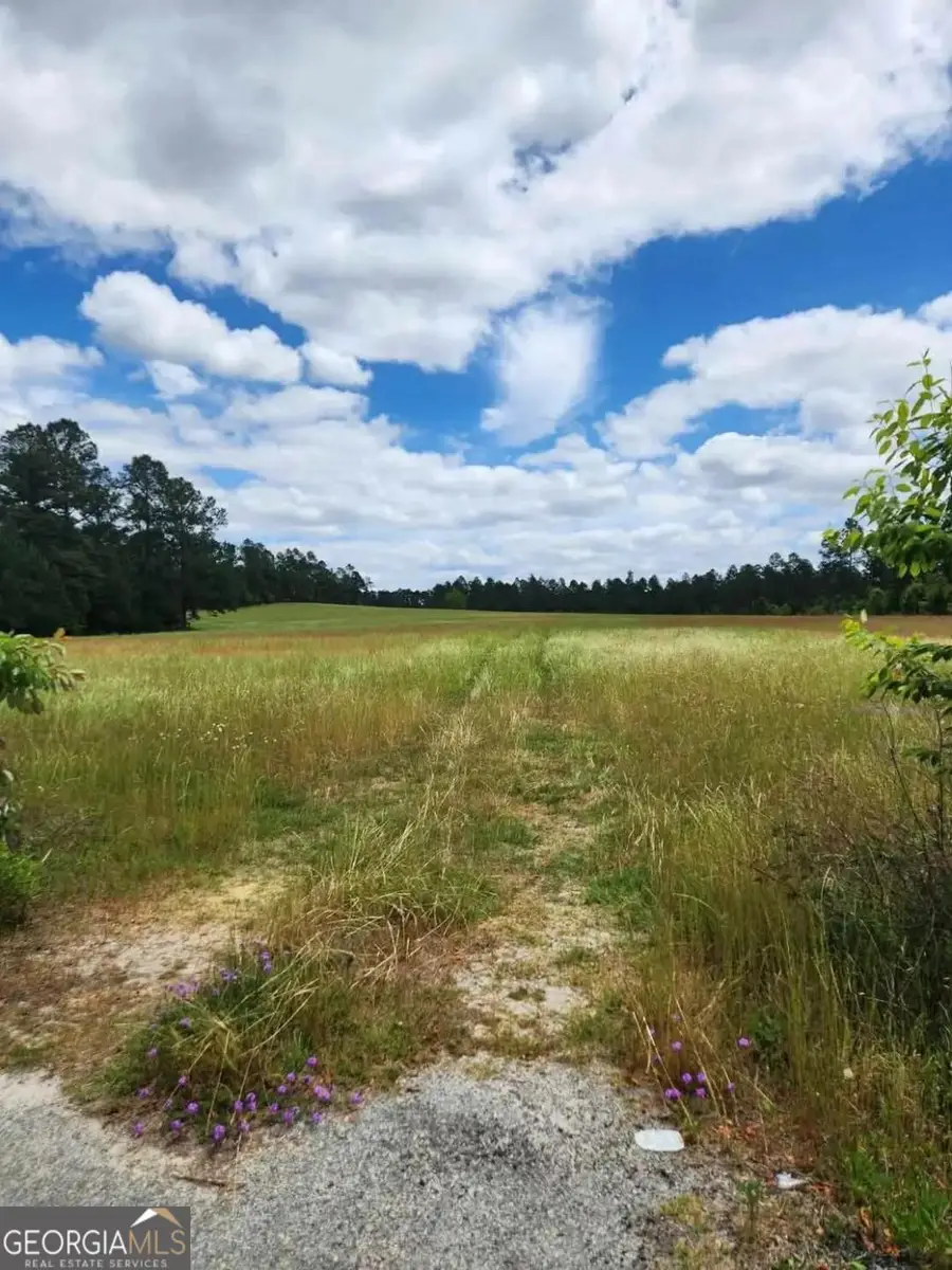 0 Stingray Road, Swainsboro, GA 30401 - #2