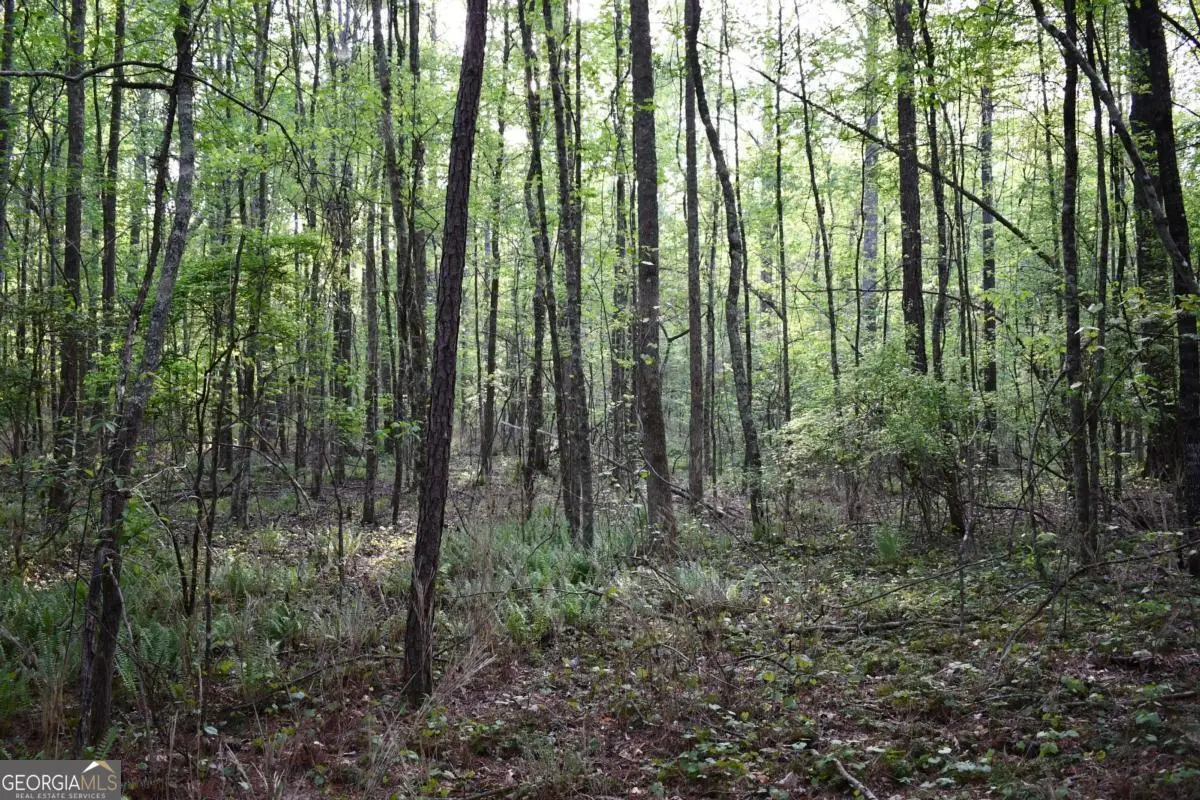 00004 Windridge Lane, Temple, GA 30179 - #1