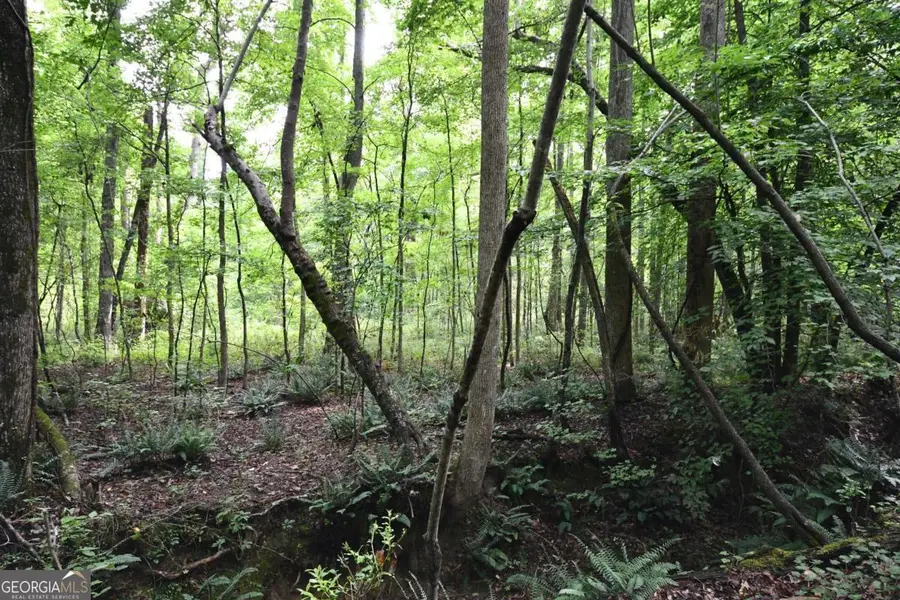 00008 Windridge Lane, Temple, GA 30179 - #2