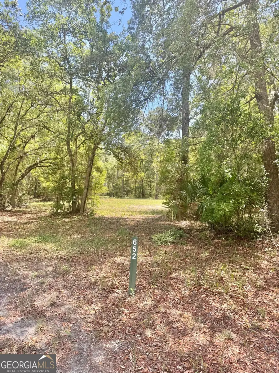 652 Picnic Lane, Townsend, GA 31331 - #2