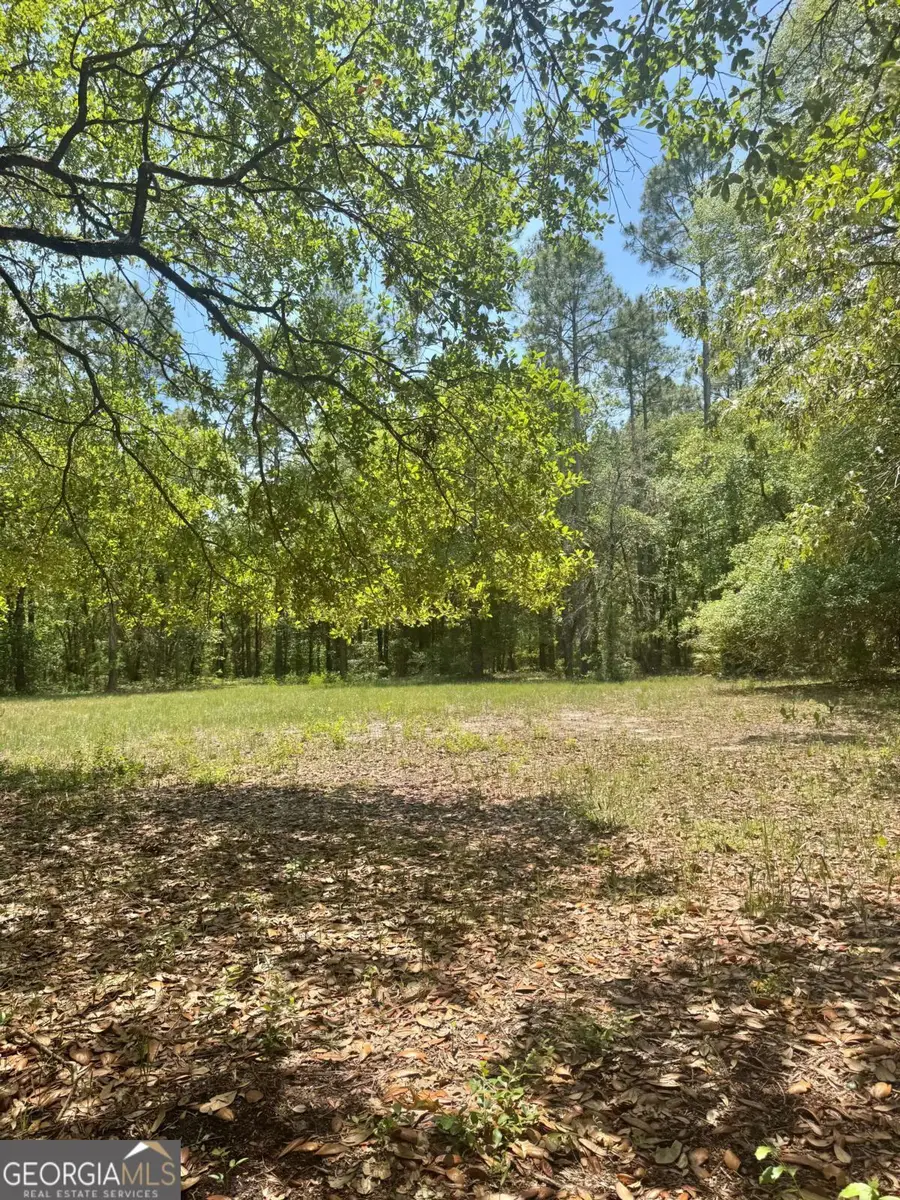 652 Picnic Lane, Townsend, GA 31331 - #3