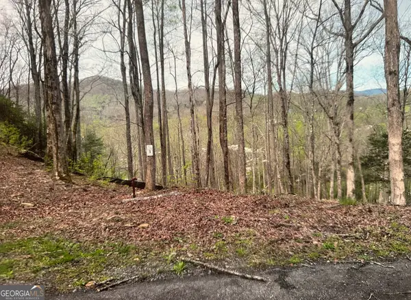 LOT 3 Buckhead Hills, Hiawassee, GA 30546