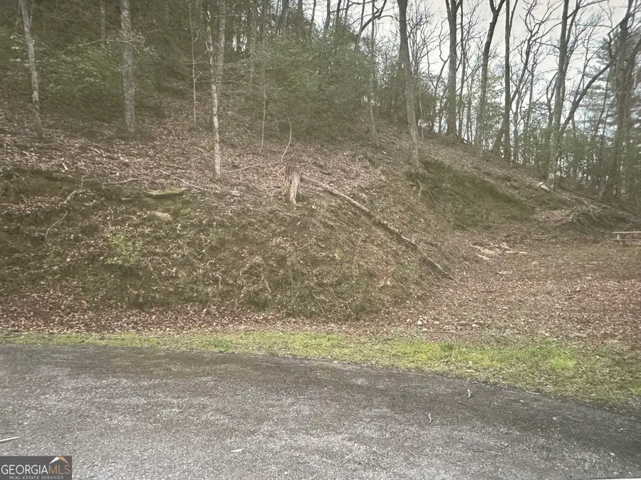 LOT 3 Buckhead Hills, Hiawassee, GA 30546 - #3