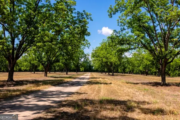 16505 Union Road, Metter, GA 30439