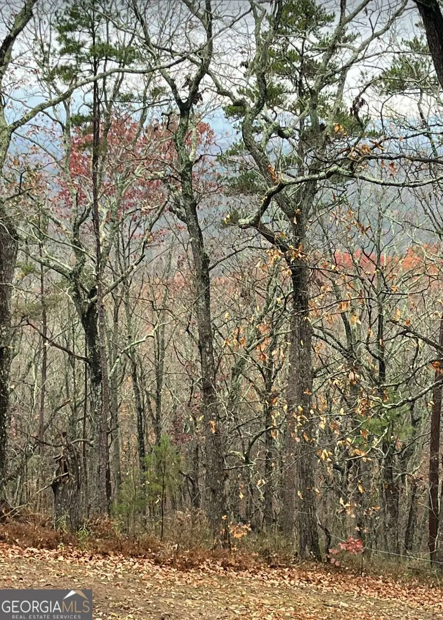 437 Mccurry Trail, Canton, GA 30114 - #3