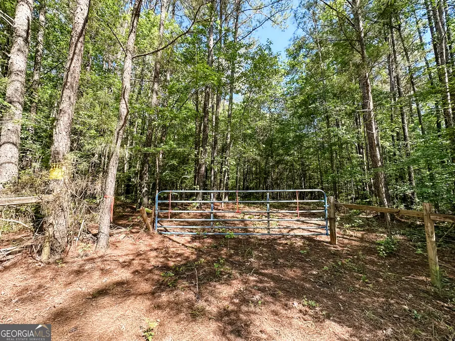 0 Wehunt Road, Monticello, GA 31064 - #2