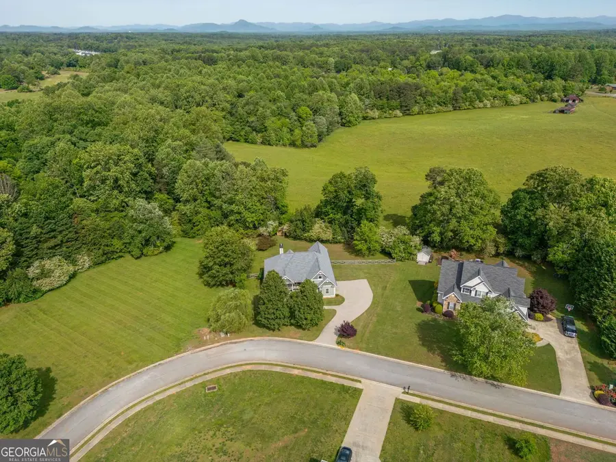 190 Towerview Circle, Mount Airy, GA 30563 - #2
