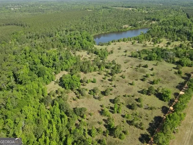 0 Bill Glenn Road, Swainsboro, GA 30401 - #3