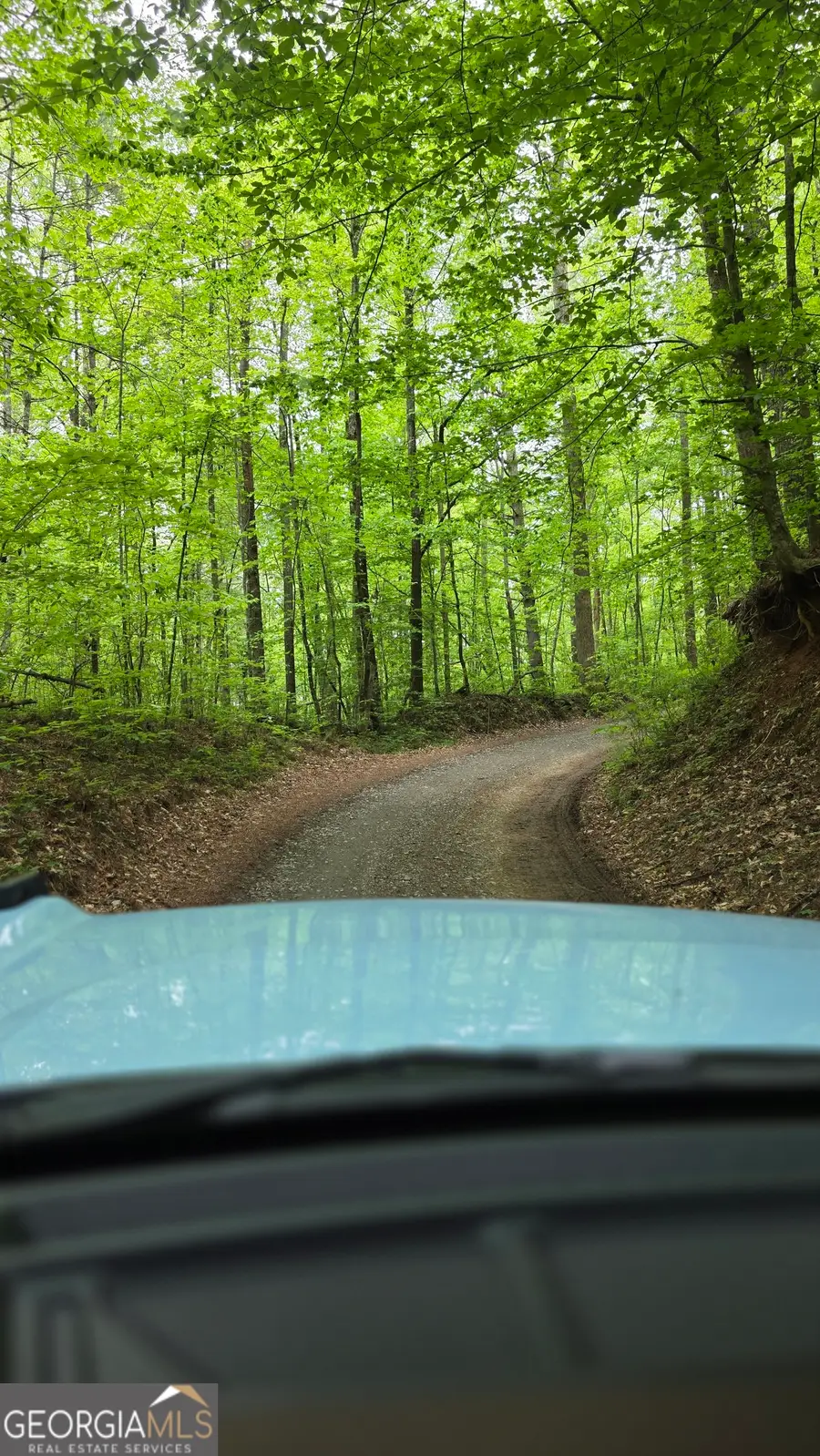 0 Pleasant Hill Trail, Ellijay, GA 30540 - #2