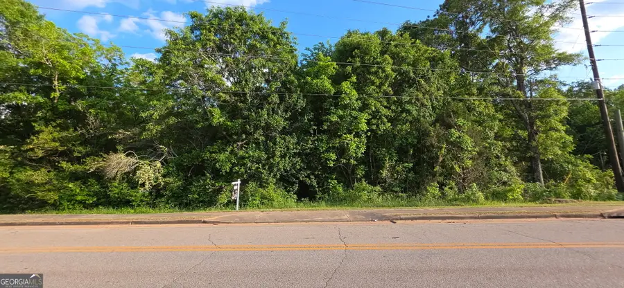 0 County Farm Road, Zebulon, GA 30295 - #2