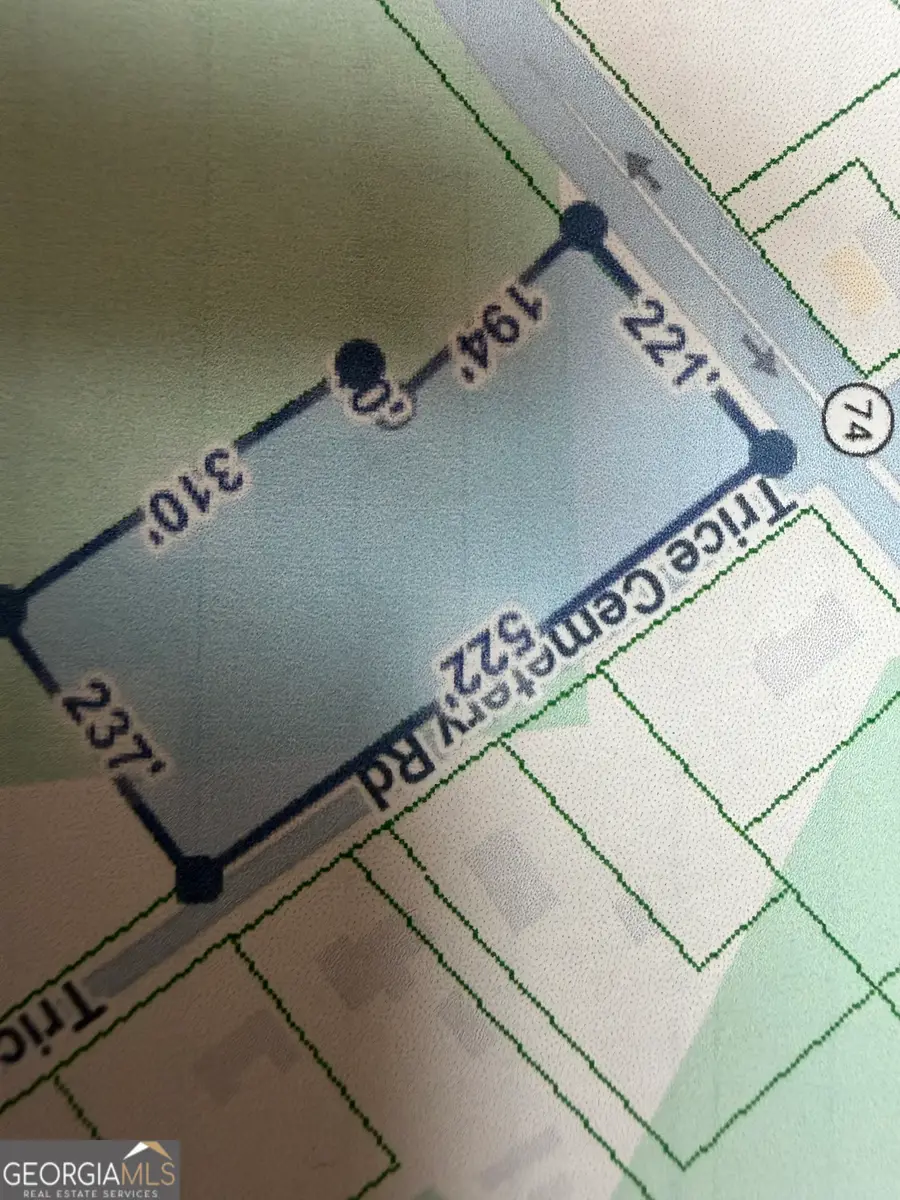 724 Trice Cemetary Road, Thomaston, GA 30286 - #3