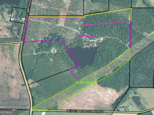 0 Hammond Powell Road, Hazlehurst, GA 31539