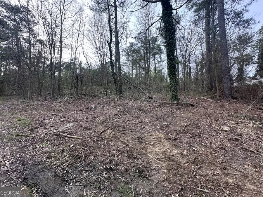 411 Gayle Drive Se, Acworth, GA 30102 - #2