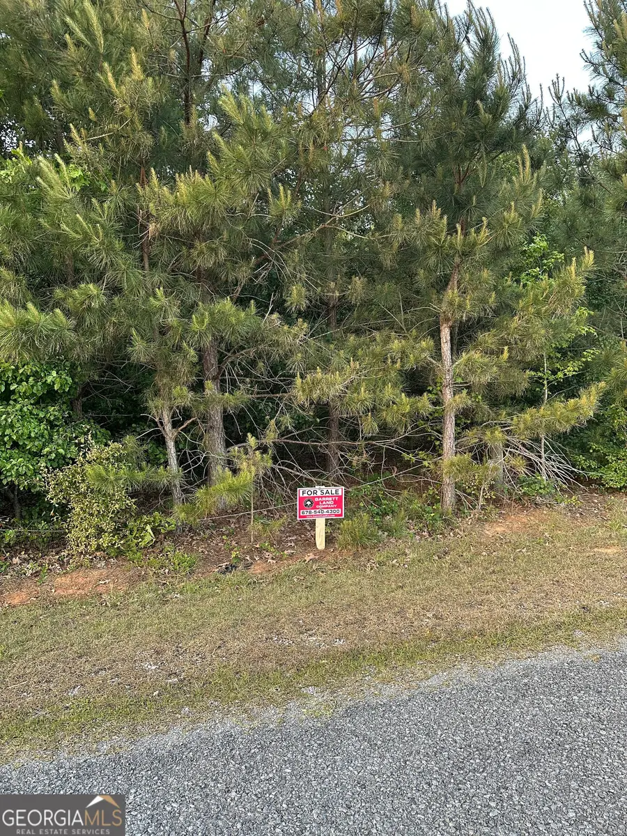 LOT 6 County Road 520, Centre, AL 35960 - #3