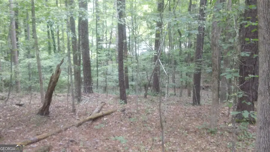 0 Woodduck Court, Monticello, GA 31064 - #3
