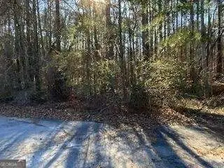 4195 SE Stephanie Circle, Conyers, GA 30013 - #3
