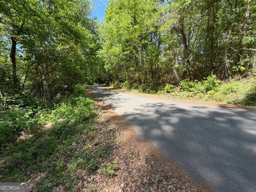 15.74 ACRES Wallace Gray Road, Newnan, GA 30263 - #2