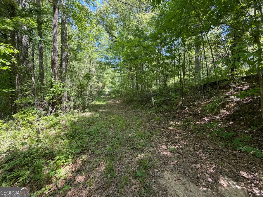 15.74 ACRES Wallace Gray Road, Newnan, GA 30263 - #3