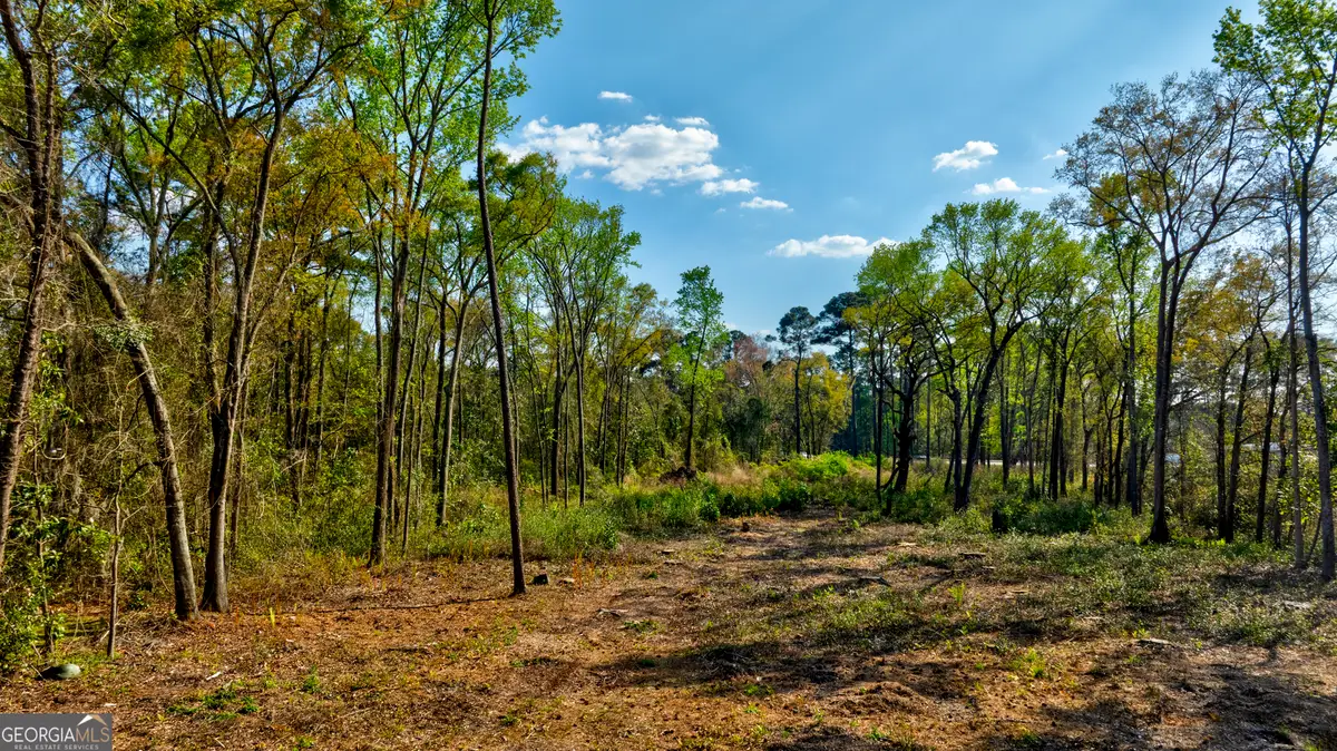 2502 Staley Avenue, Savannah, GA 31405 - #1