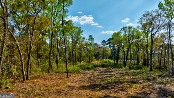 2502 Staley Avenue, Savannah, GA 31405