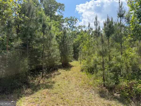 008 George Milling Road, Cuthbert, GA 39840