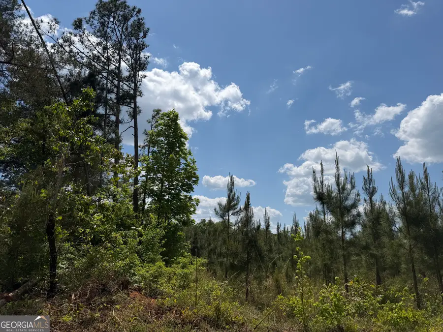 008 George Milling Road, Cuthbert, GA 39840 - #2