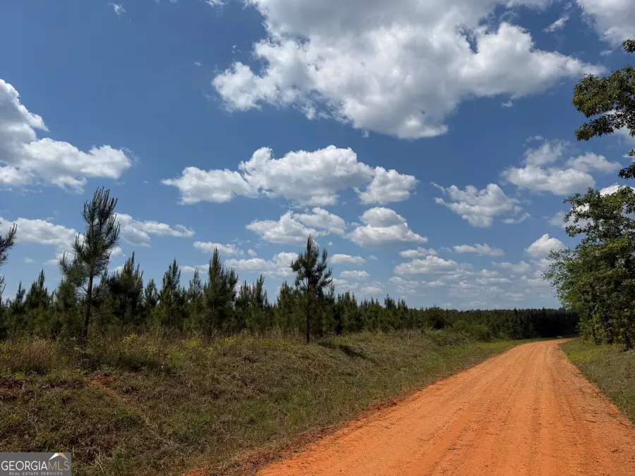 008 George Milling Road, Cuthbert, GA 39840 - #3
