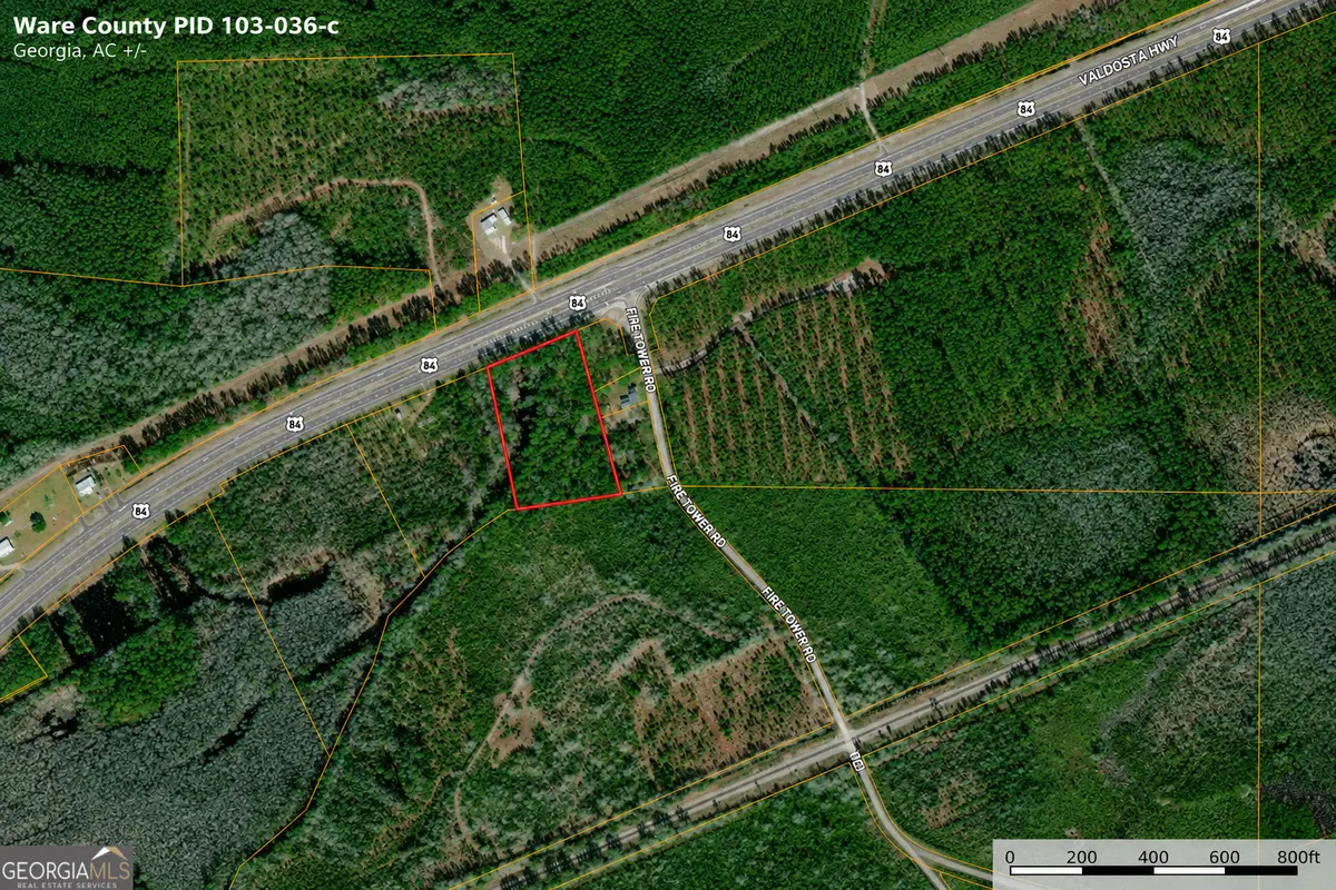 4.62 ACRES Valdosta Highway, Manor, GA 31550 - #1